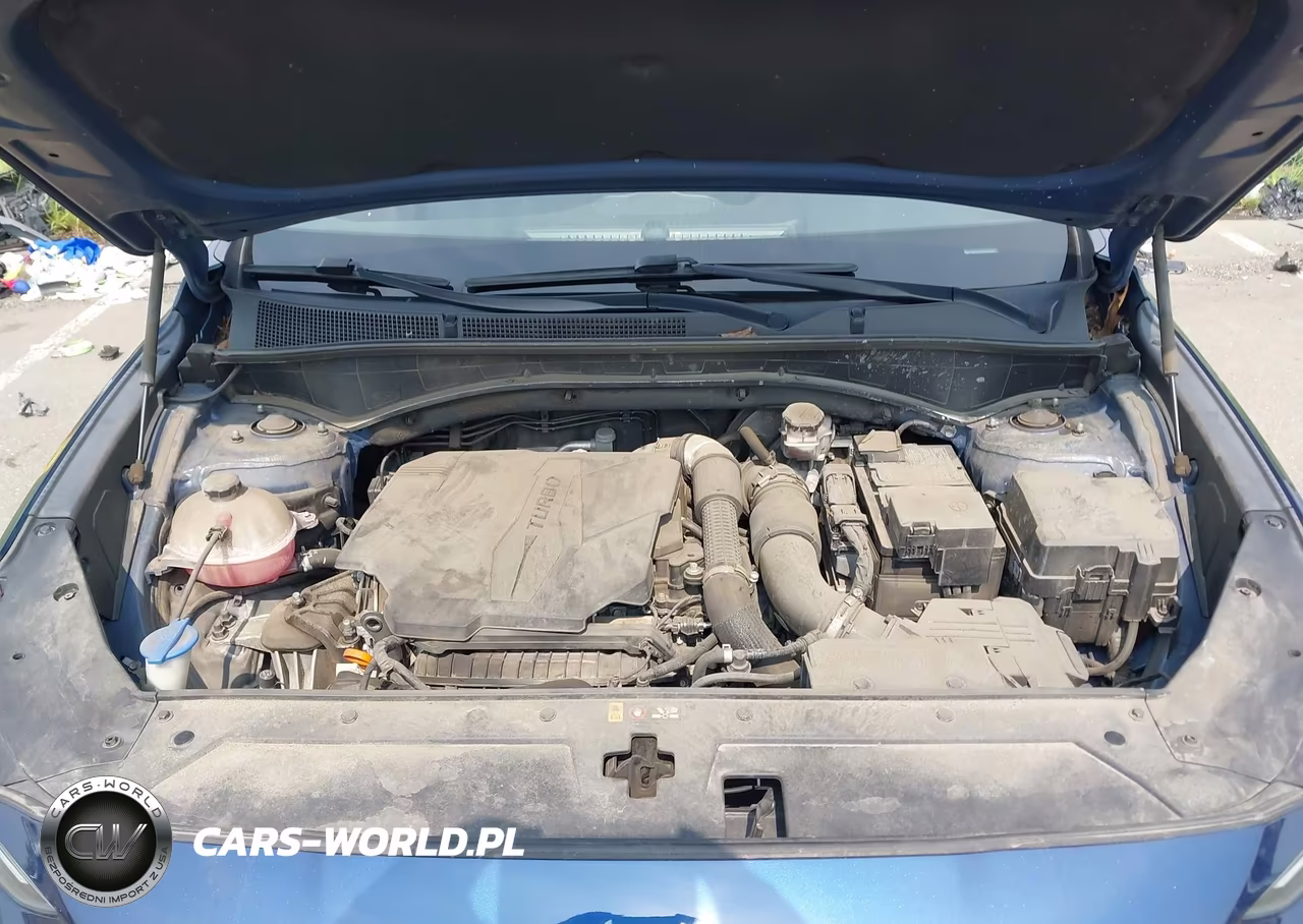 2021 Hyundai Santa Fe Limited VIN:5NMS4DAL1MH334962 - 10