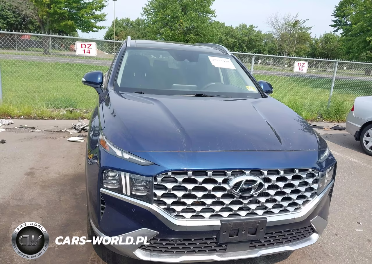 2021 Hyundai Santa Fe Limited VIN:5NMS4DAL1MH334962 - 12