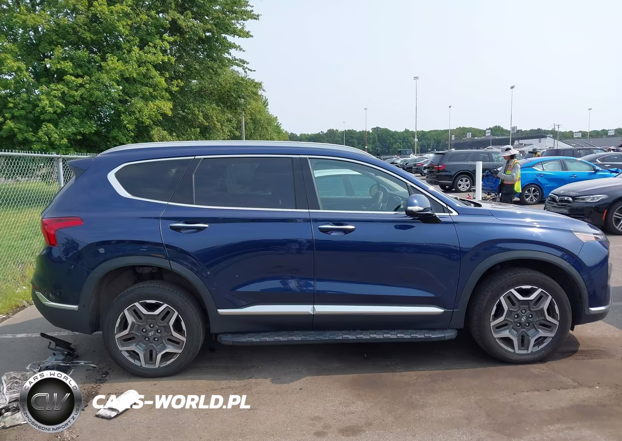 2021 Hyundai Santa Fe Limited VIN:5NMS4DAL1MH334962 - 13