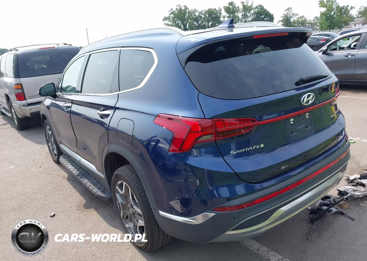 2021 Hyundai Santa Fe Limited VIN:5NMS4DAL1MH334962 - 3