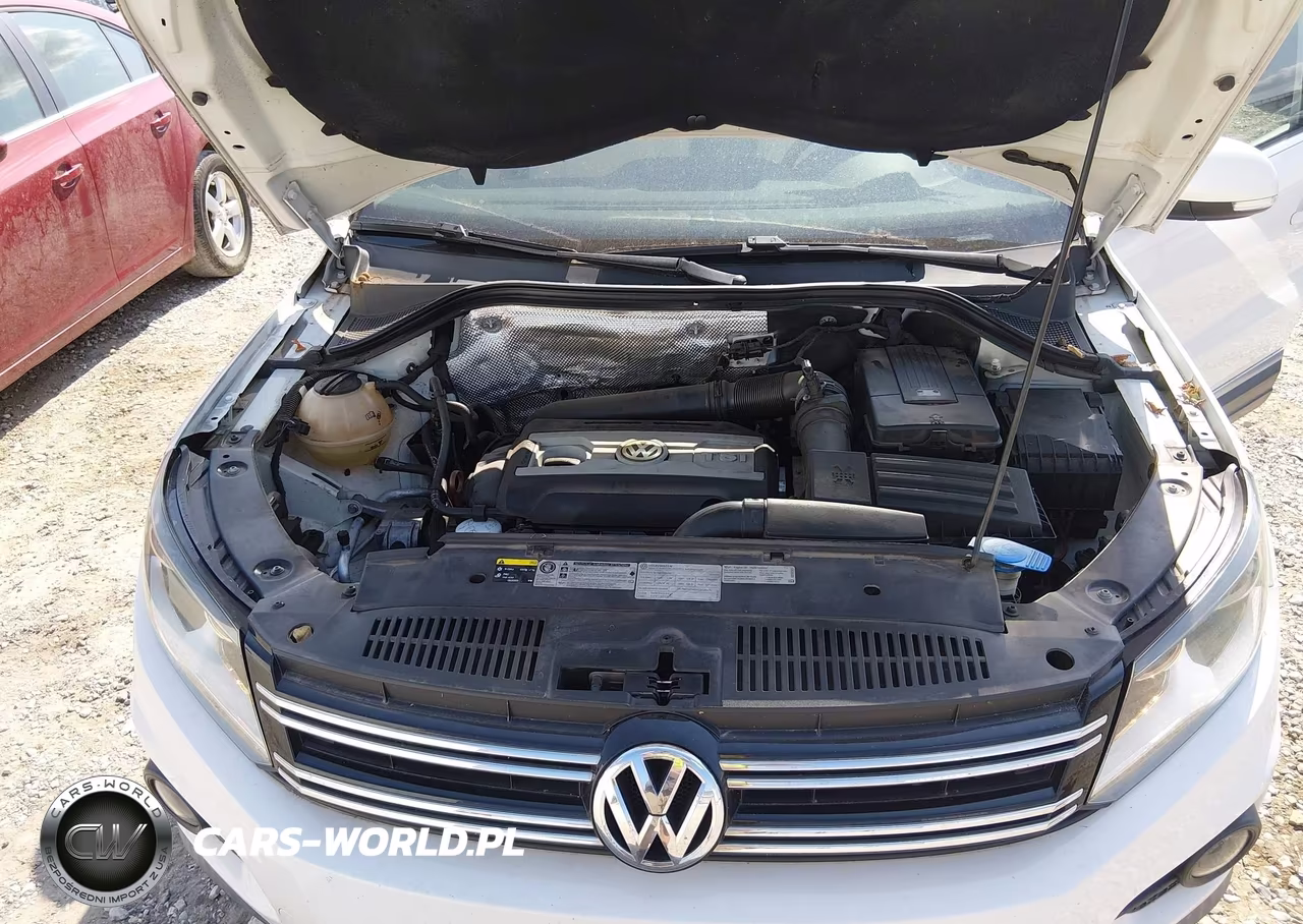 2013 Volkswagen Tiguan Se VIN:WVGAV7AX5DW543952 - 10