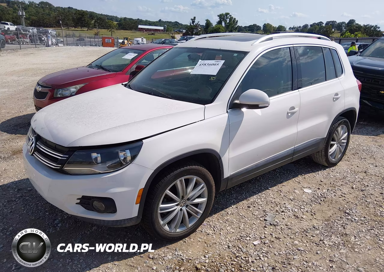 2013 Volkswagen Tiguan Se VIN:WVGAV7AX5DW543952 - 2