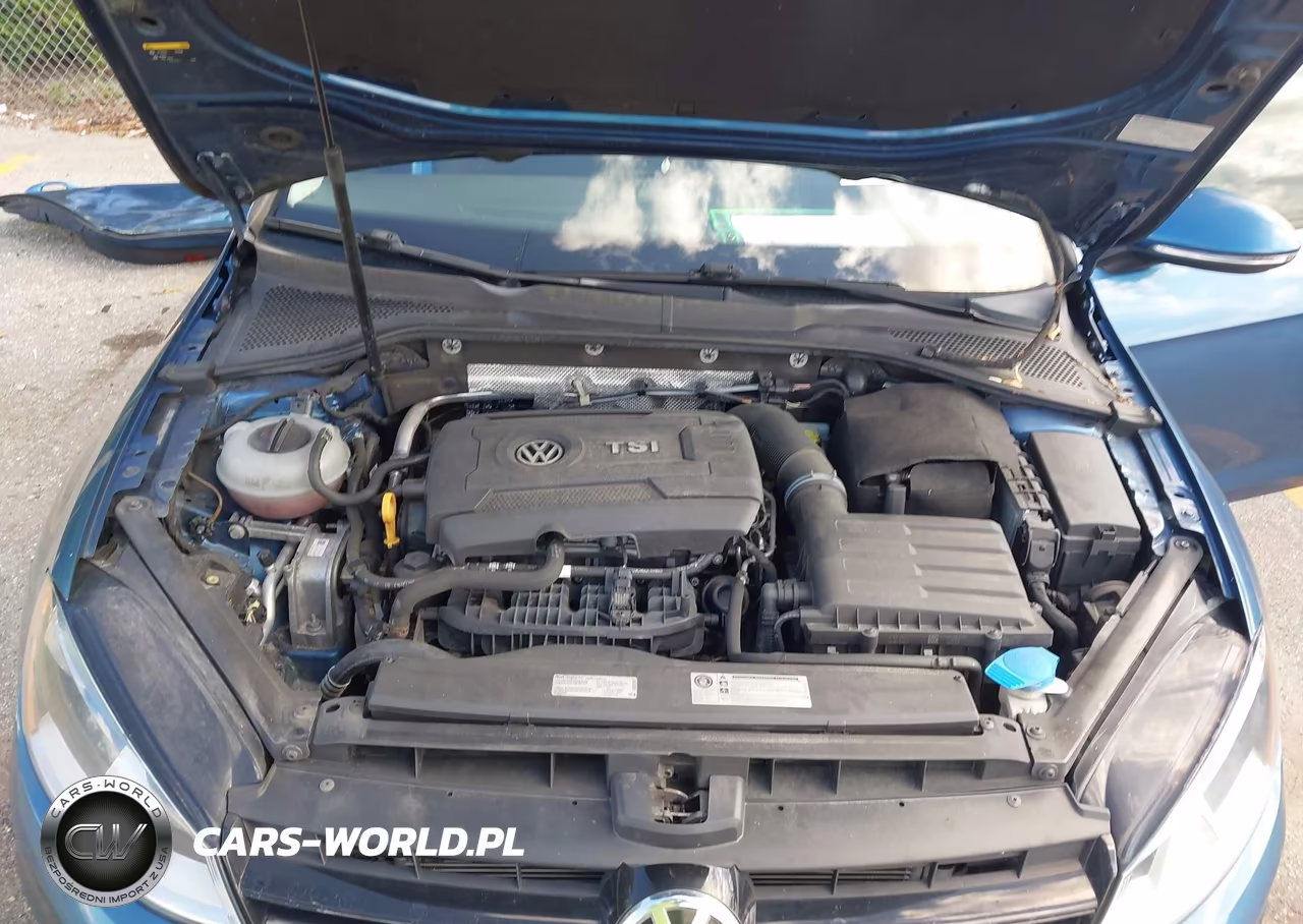 2017 Volkswagen Golf Tsi S 4-Door-Tsi Se 4-Door-Tsi Sel 4-Door-Tsi Wolfsburg Edition 4-Door VIN:3VW217AU8HM016985 - 10
