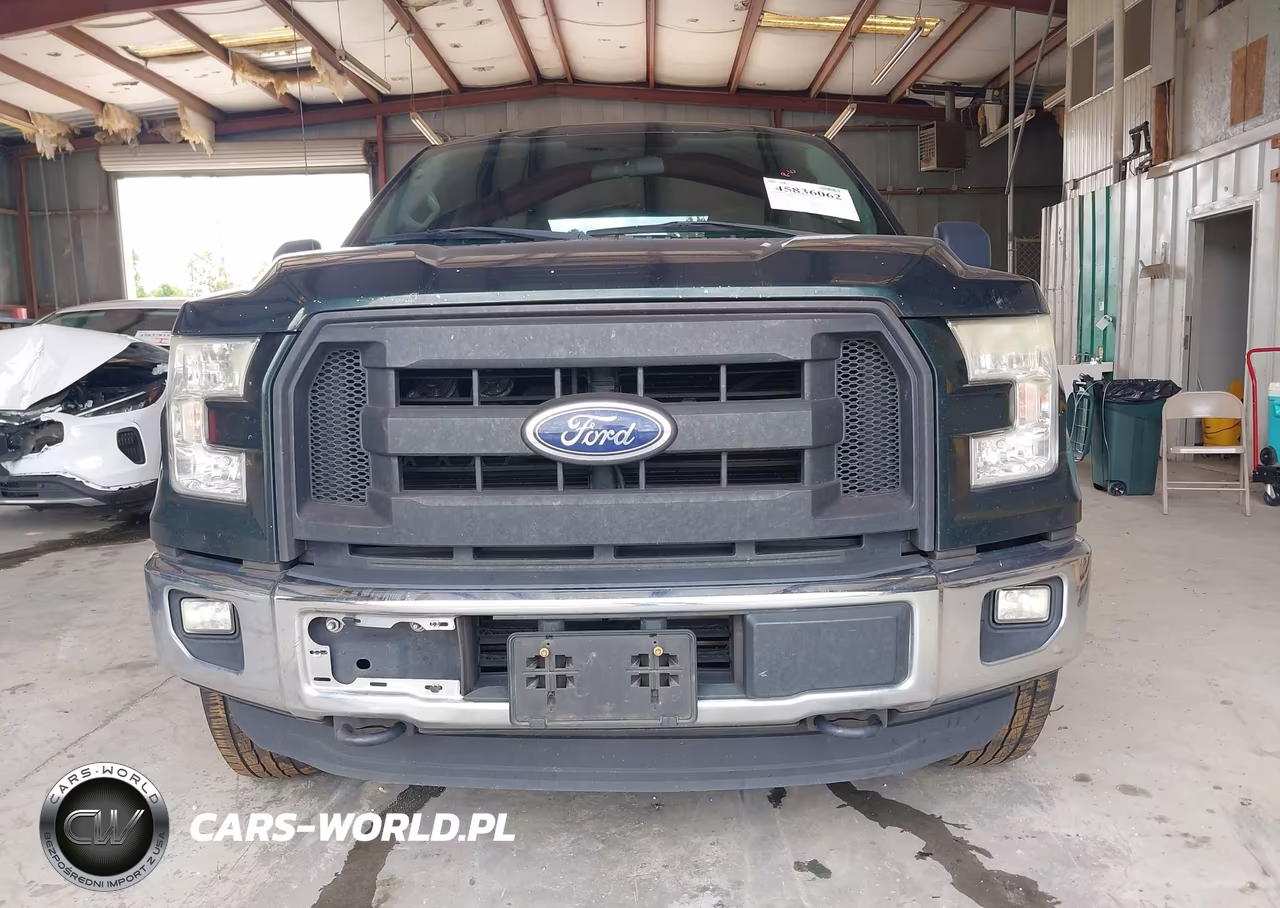 2015 Ford F-150 Xl VIN:1FTEW1EP7FKE30945 - 12