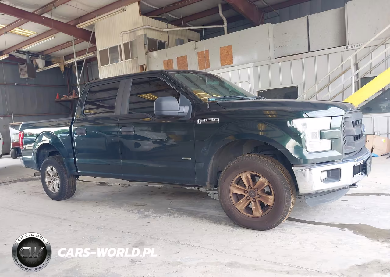 2015 Ford F-150 Xl VIN:1FTEW1EP7FKE30945 - 13