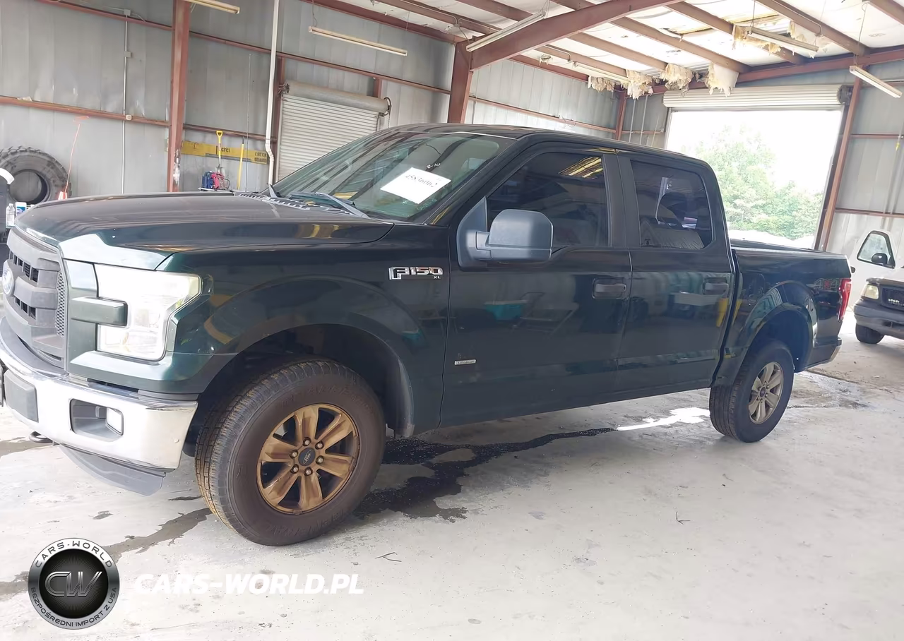 2015 Ford F-150 Xl VIN:1FTEW1EP7FKE30945 - 14