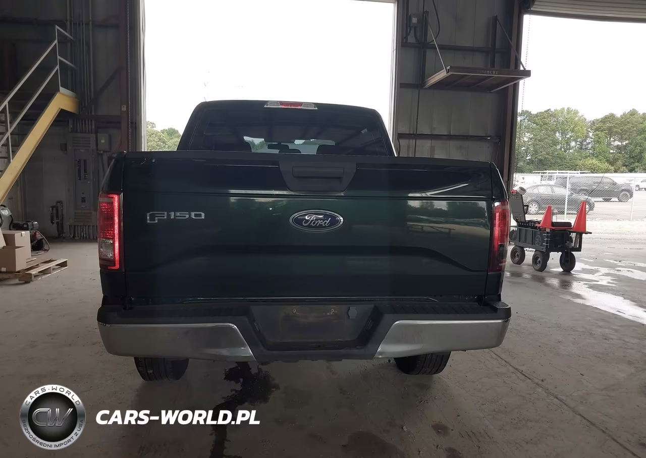 2015 Ford F-150 Xl VIN:1FTEW1EP7FKE30945 - 16