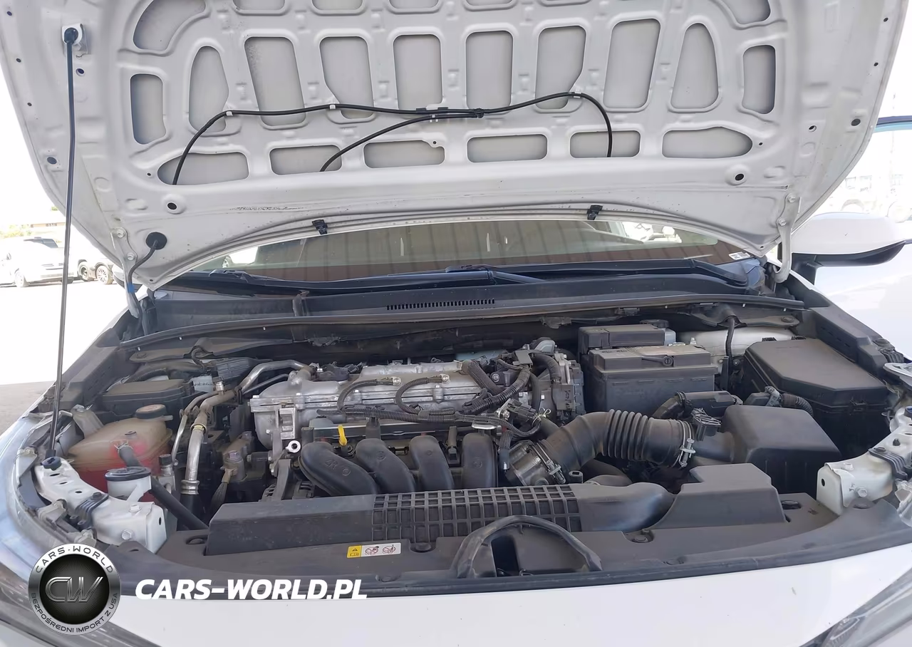2020 Toyota Corolla Le VIN:5YFEPRAE9LP025117 - 10