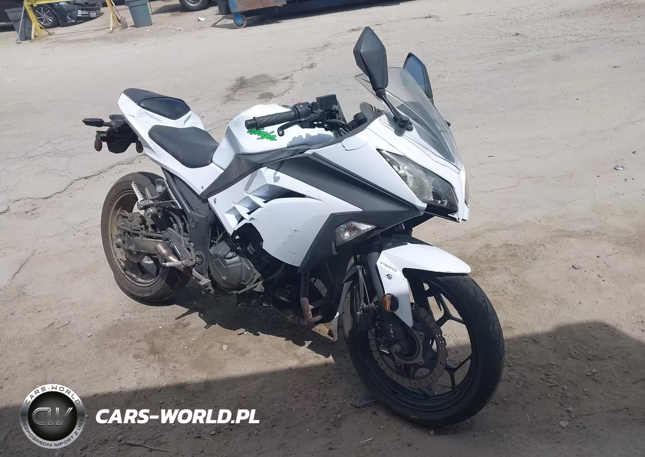 2015 Kawasaki Ex300 B – zdjęcie 1 z 13