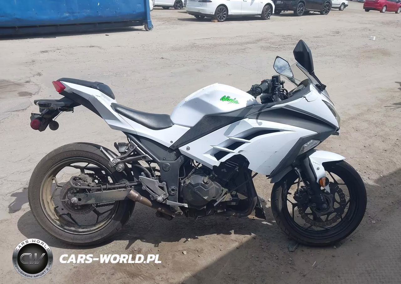 2015 Kawasaki Ex300 B VIN:JKAEX8B10FDA22021 - 12