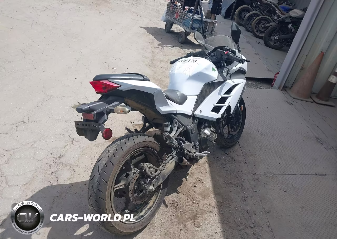 2015 Kawasaki Ex300 B VIN:JKAEX8B10FDA22021 - 4