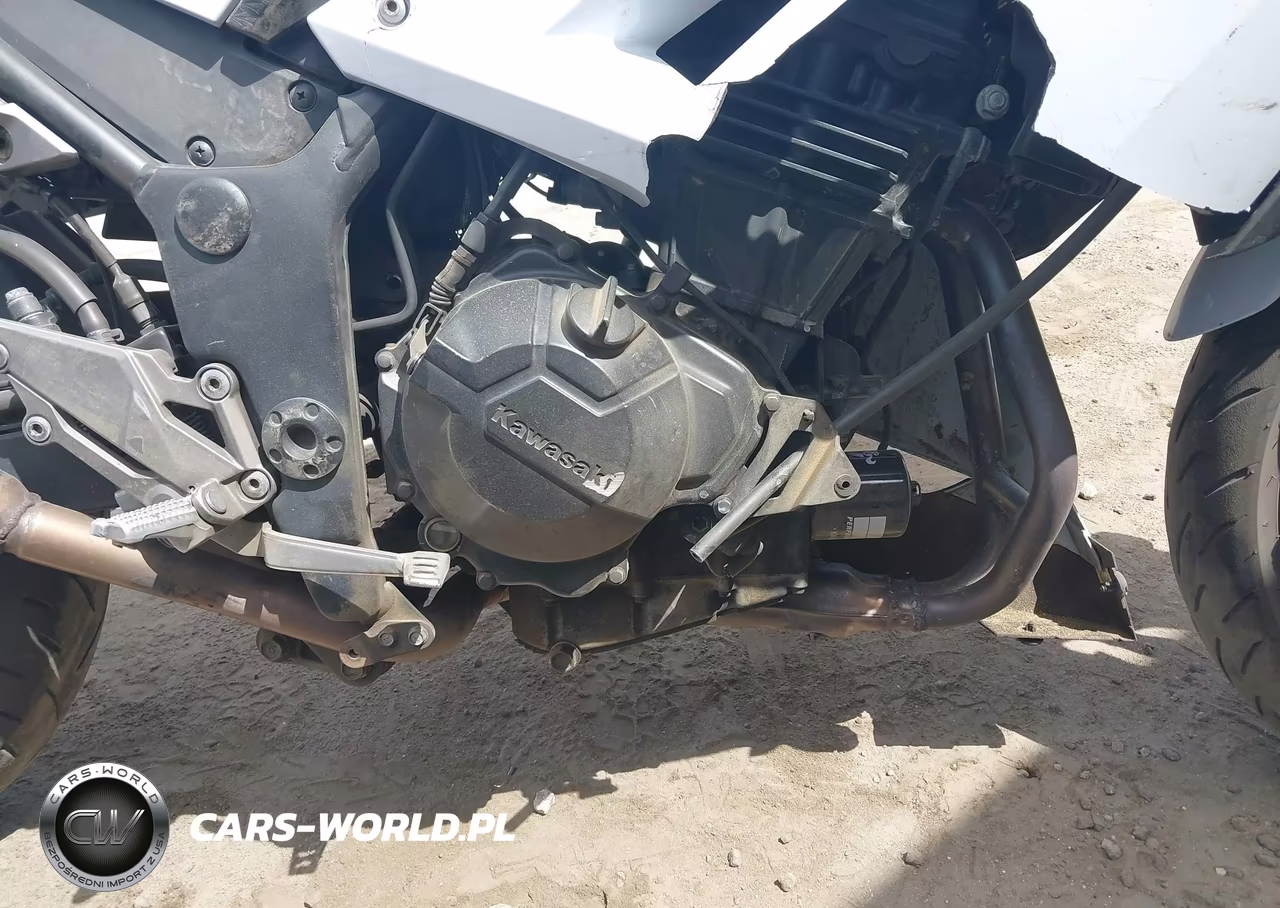 2015 Kawasaki Ex300 B VIN:JKAEX8B10FDA22021 - 8