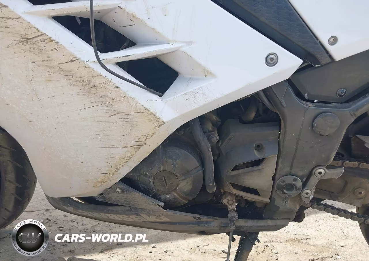 2015 Kawasaki Ex300 B VIN:JKAEX8B10FDA22021 - 9