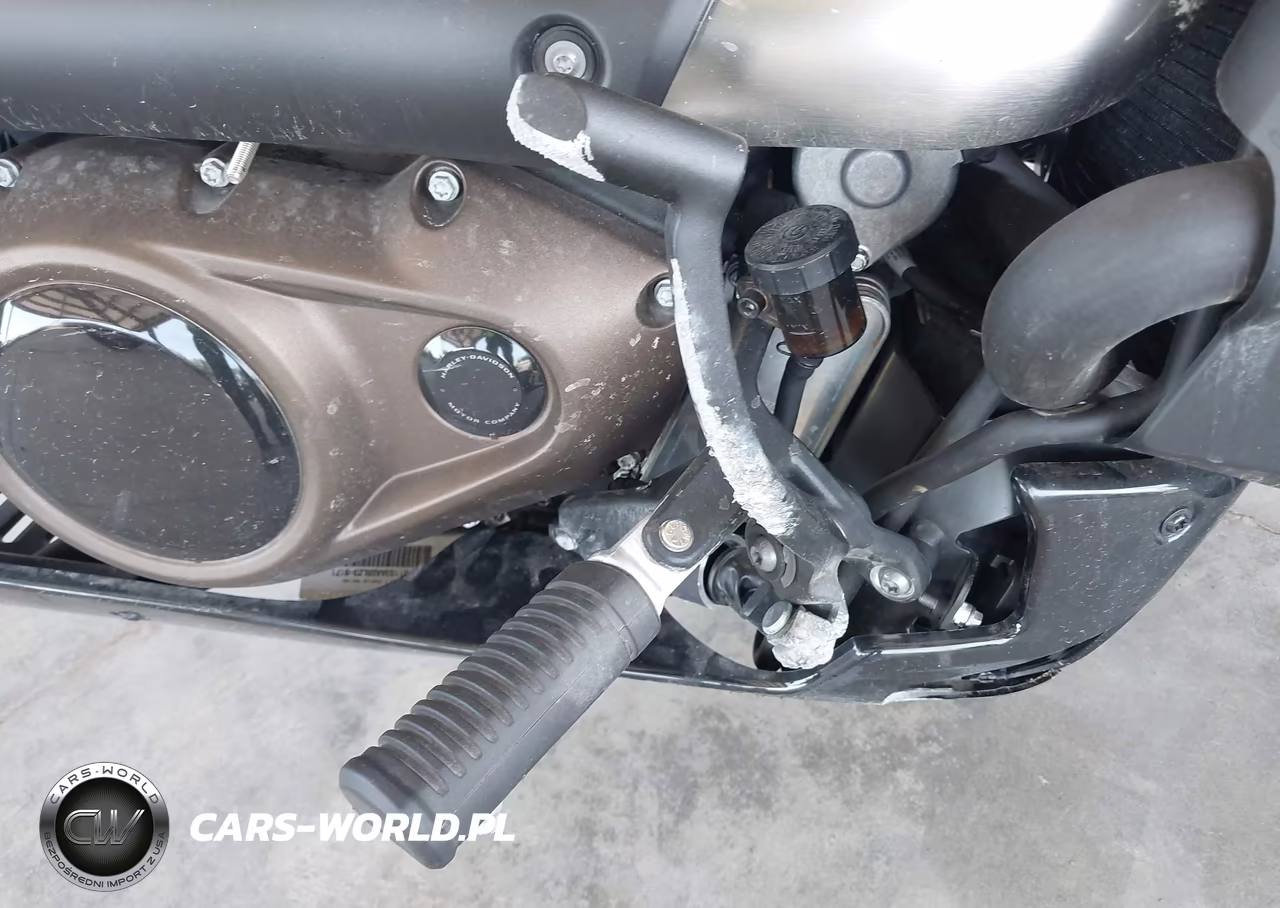2024 Harley-Davidson Rh1250 S VIN:1HD1ZC418RB301467 - 16