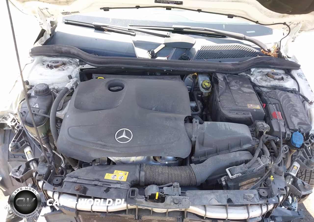 2014 Mercedes-Benz Cla 250 VIN:WDDSJ4EB2EN157441 - 10