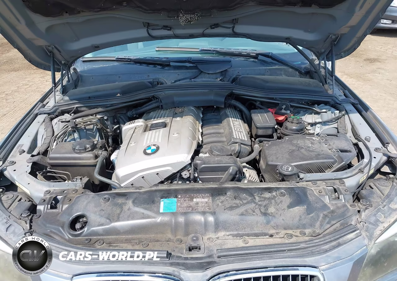 2006 BMW 530Xit VIN:WBANN73526CN02536 - 10