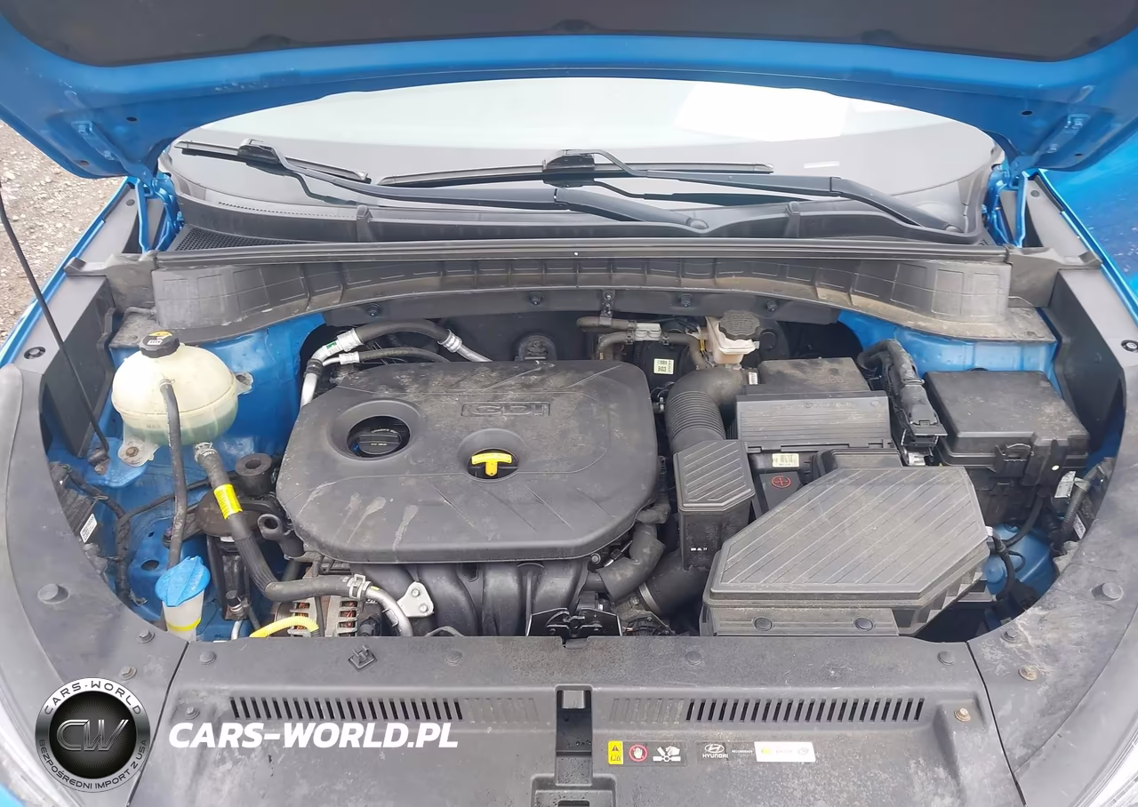 2019 Hyundai Tucson Se VIN:KM8J2CA45KU076242 - 10