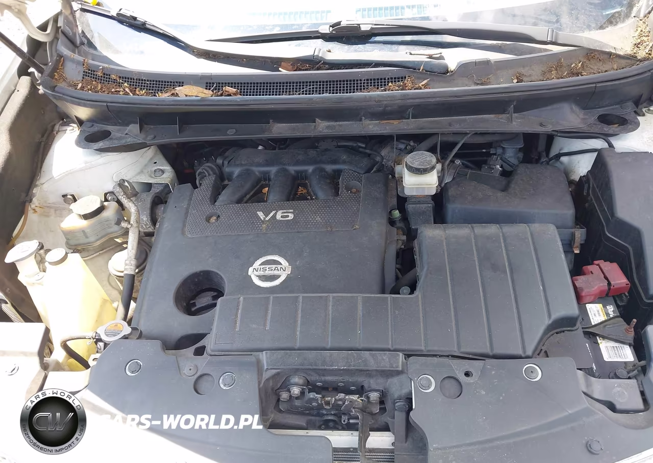2013 Nissan Murano Sv VIN:JN8AZ1MW2DW306655 - 10