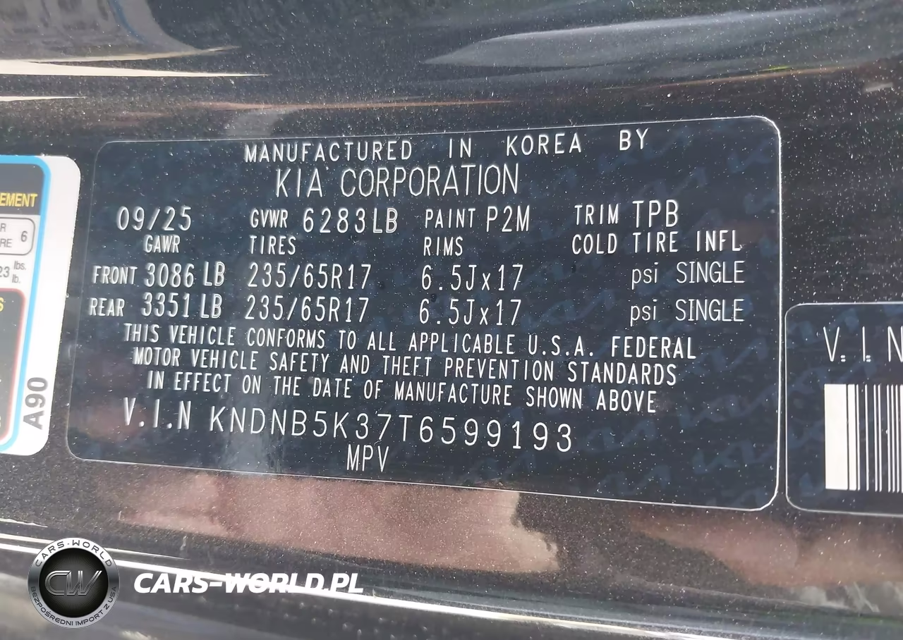 2026 Kia Carnival Lxs VIN:KNDNB5K37T6599193 - 9