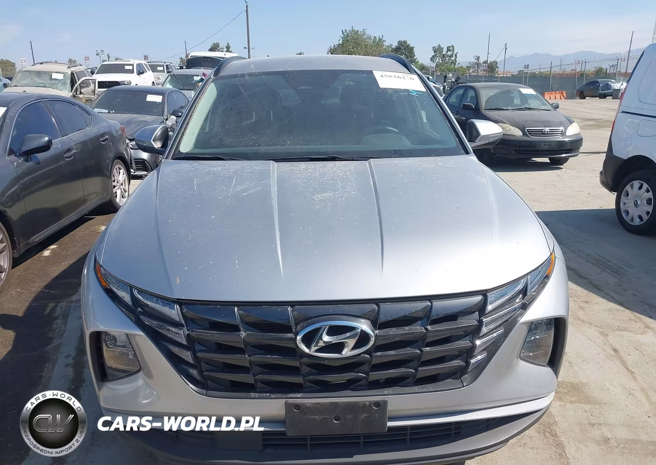 2023 Hyundai Tucson Sel VIN:5NMJBCAE6PH200076 - 13