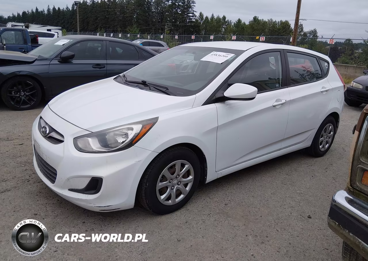 2014 Hyundai Accent Gs VIN:KMHCT5AE4EU188304 - 2