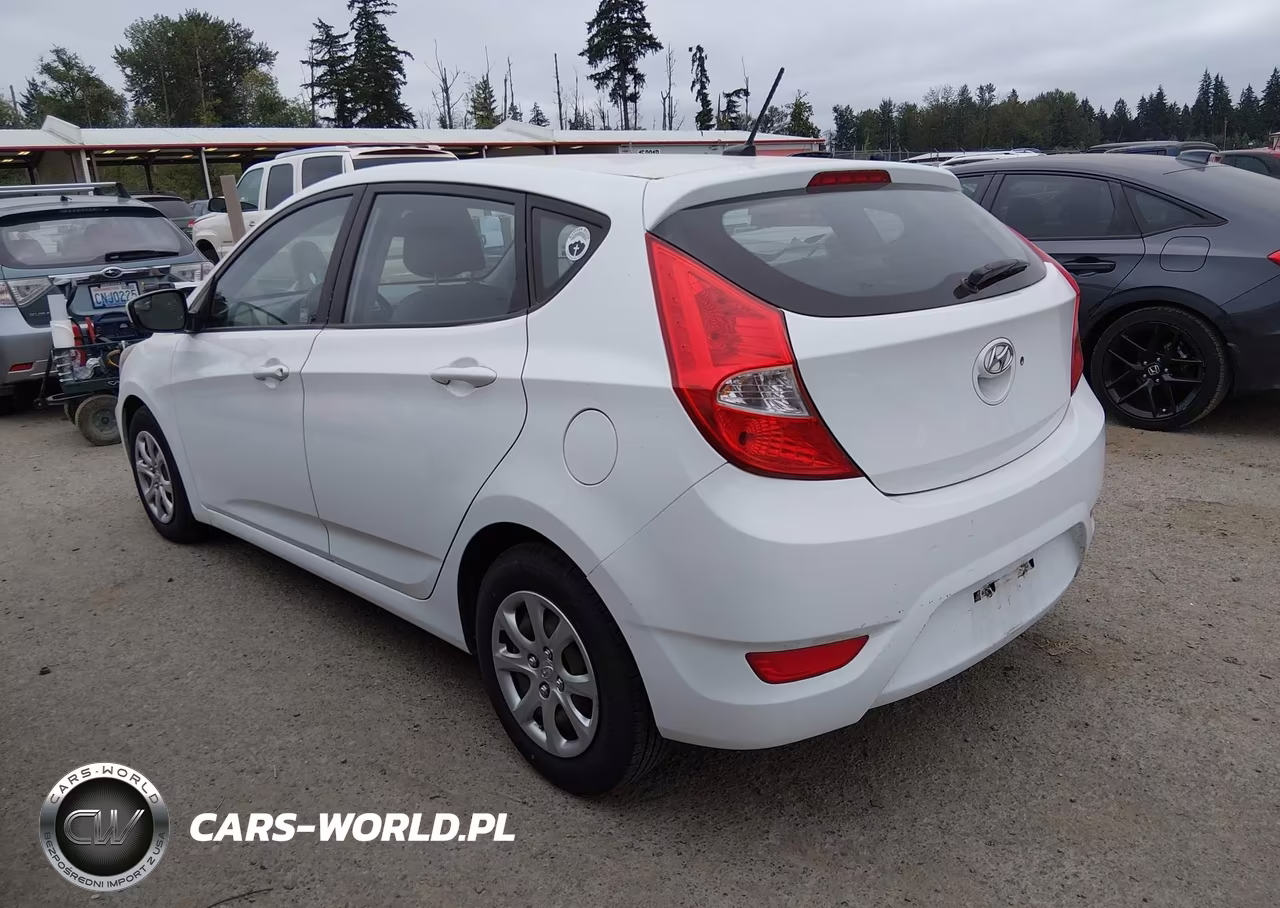 2014 Hyundai Accent Gs VIN:KMHCT5AE4EU188304 - 3