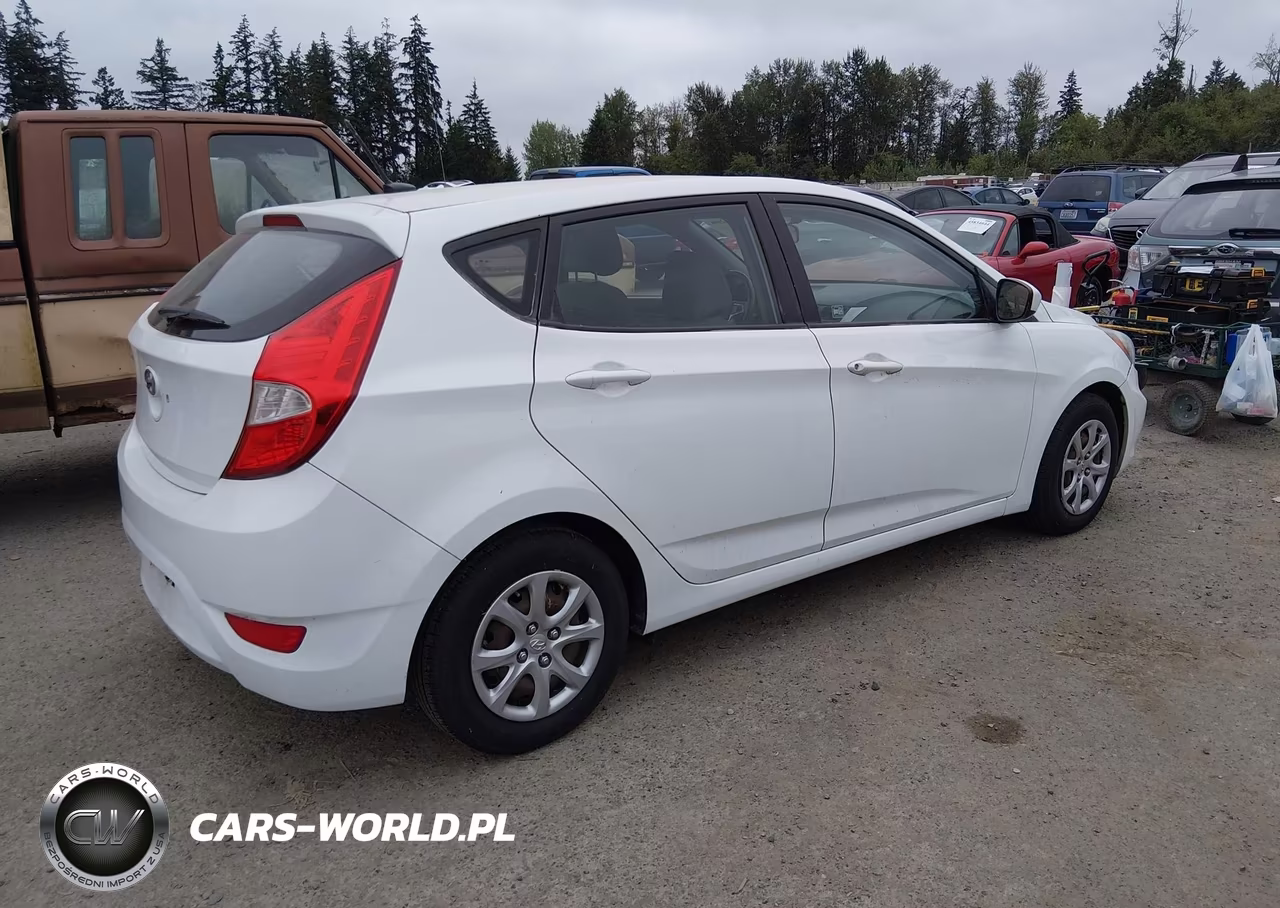 2014 Hyundai Accent Gs VIN:KMHCT5AE4EU188304 - 4