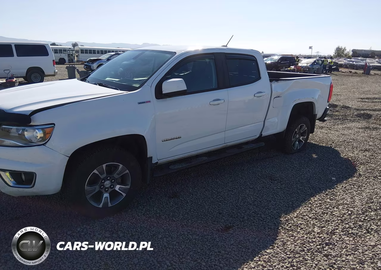 2019 Chevrolet Colorado Z71 VIN:1GCPTDE19K1143749 - 6