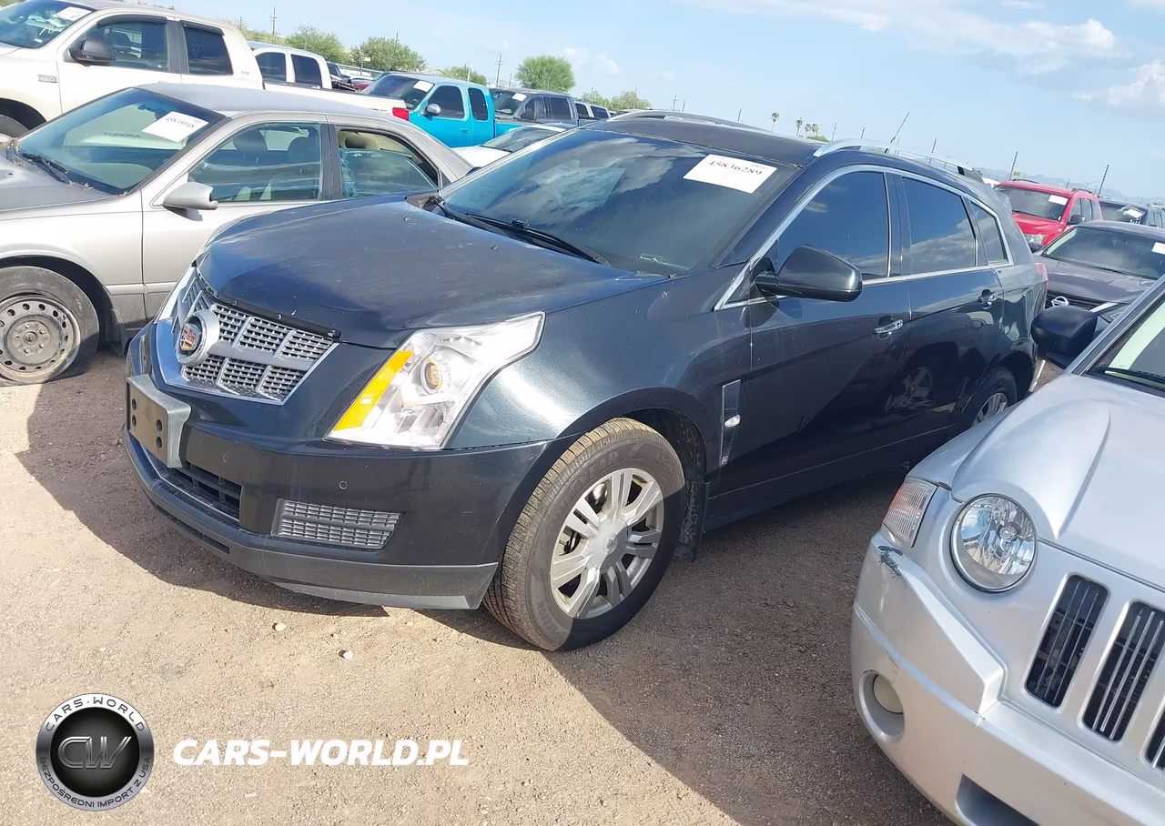 2011 Cadillac Srx Luxury Collection VIN:3GYFNDEY1BS647353 - 2