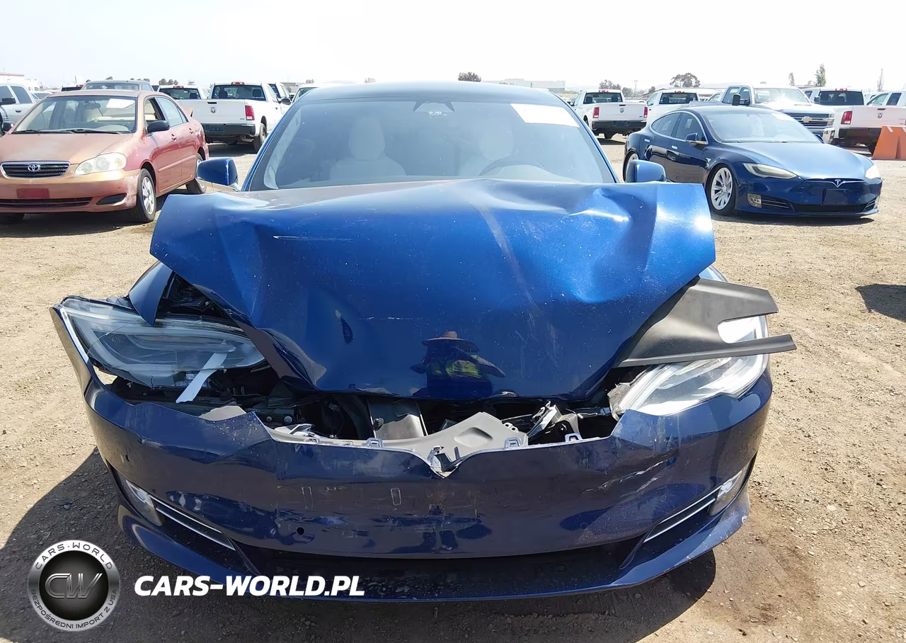 2018 Tesla Model S 100D-75D-P100D VIN:5YJSA1E2XJF273536 - 11