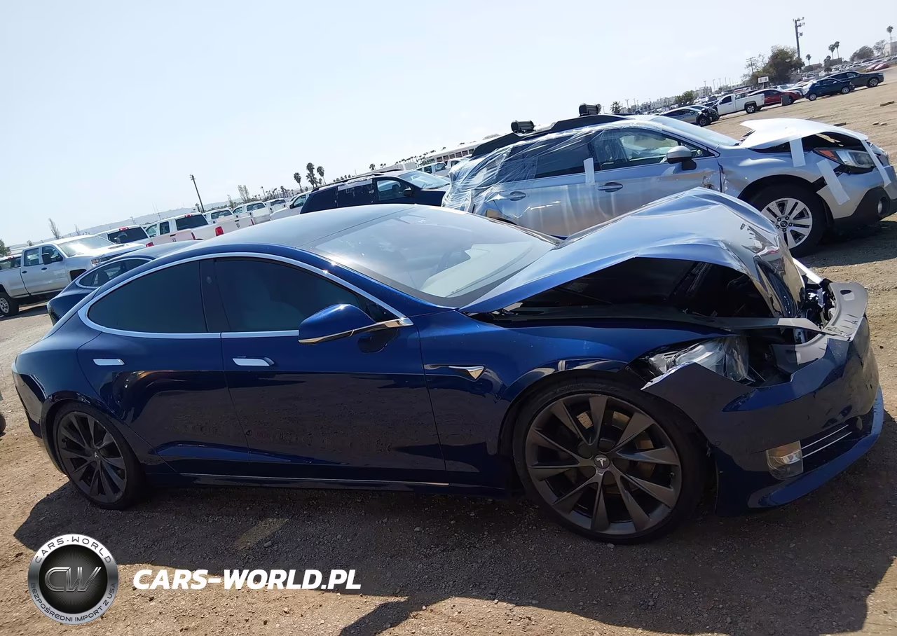 2018 Tesla Model S 100D-75D-P100D VIN:5YJSA1E2XJF273536 - 12