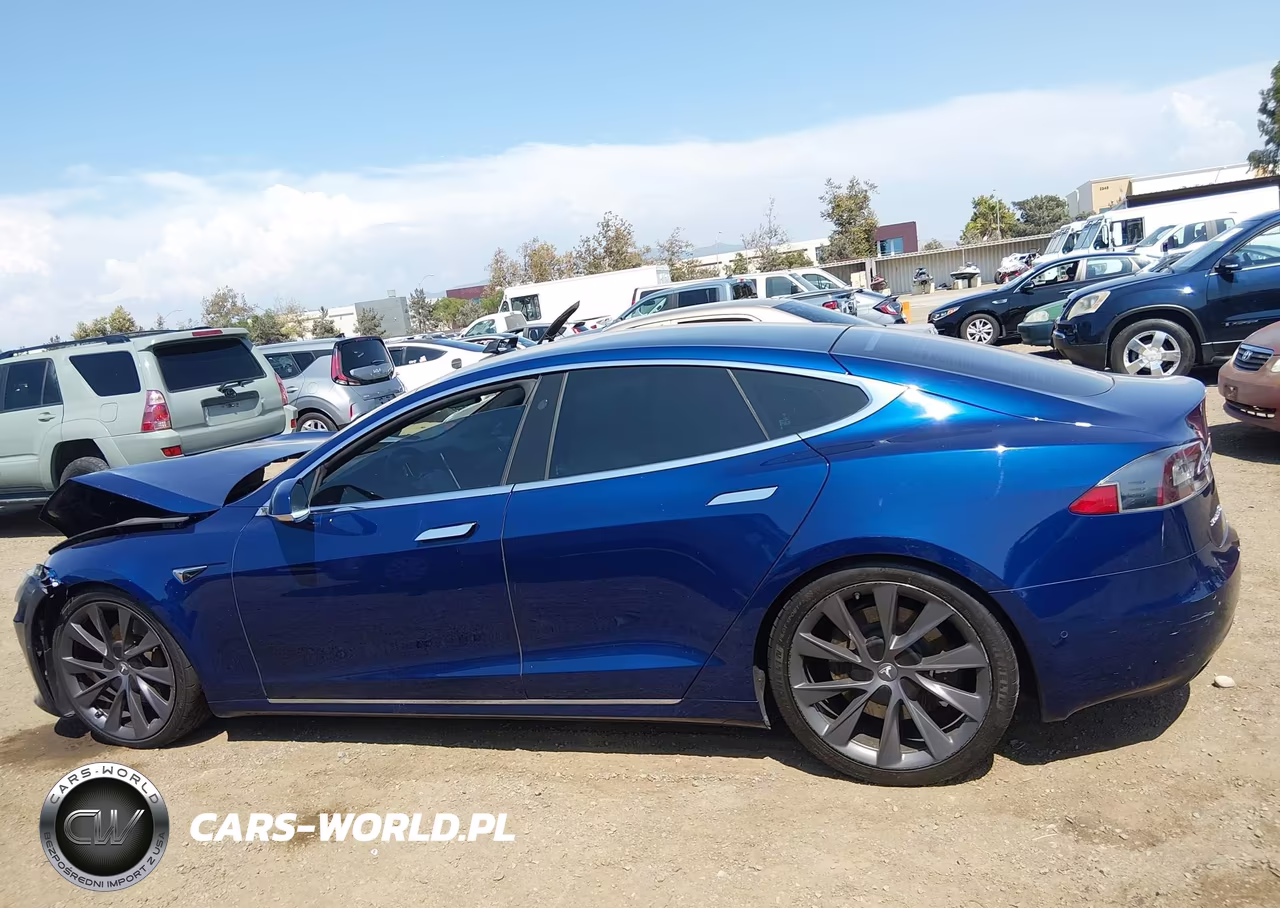2018 Tesla Model S 100D-75D-P100D VIN:5YJSA1E2XJF273536 - 13