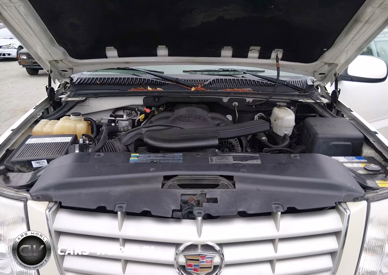 2004 Cadillac Escalade Standard VIN:1GYEK63N64R241597 - 10