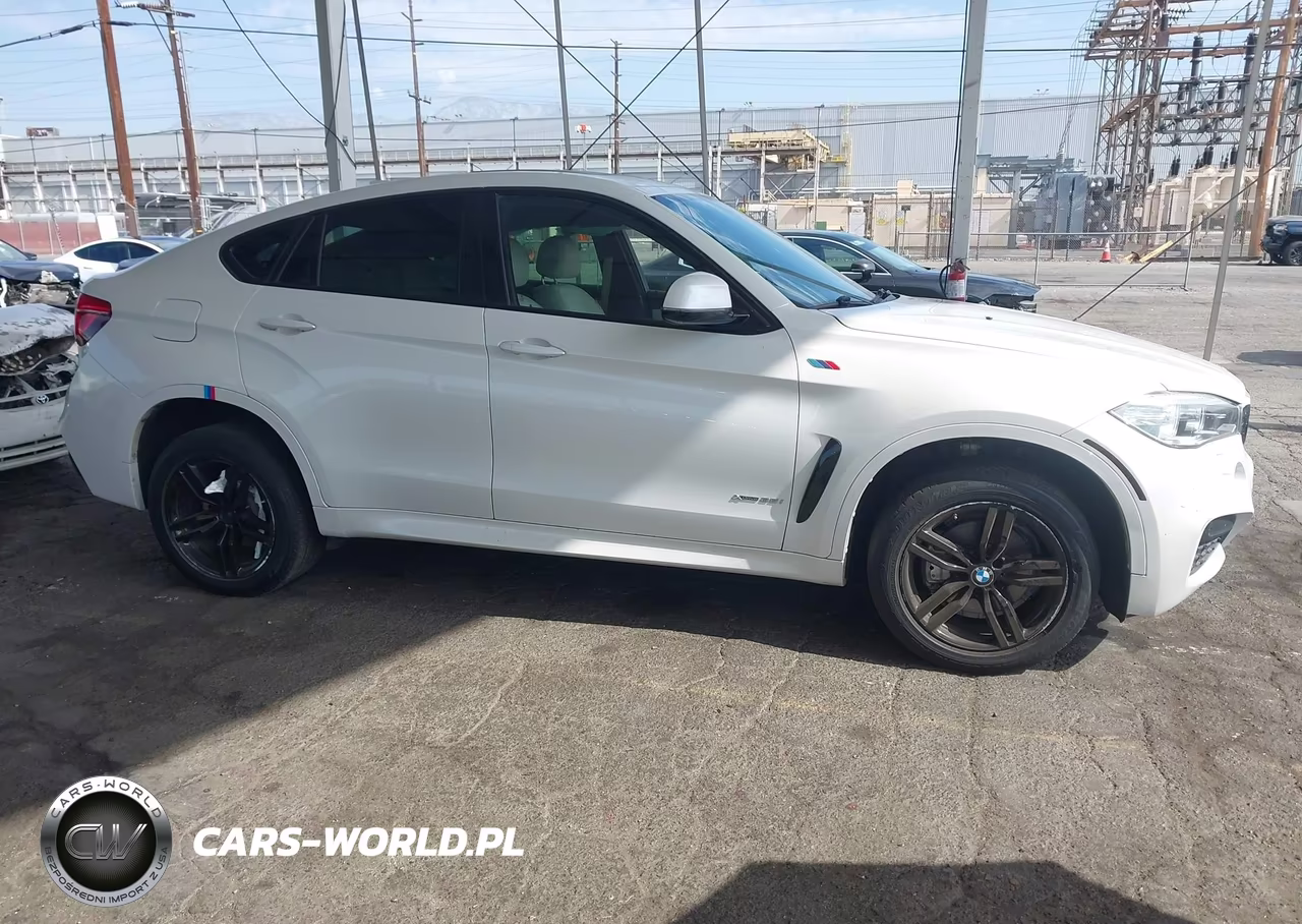 2015 BMW X6 xDrive35I VIN:5UXKU2C53F0F96098 - 13
