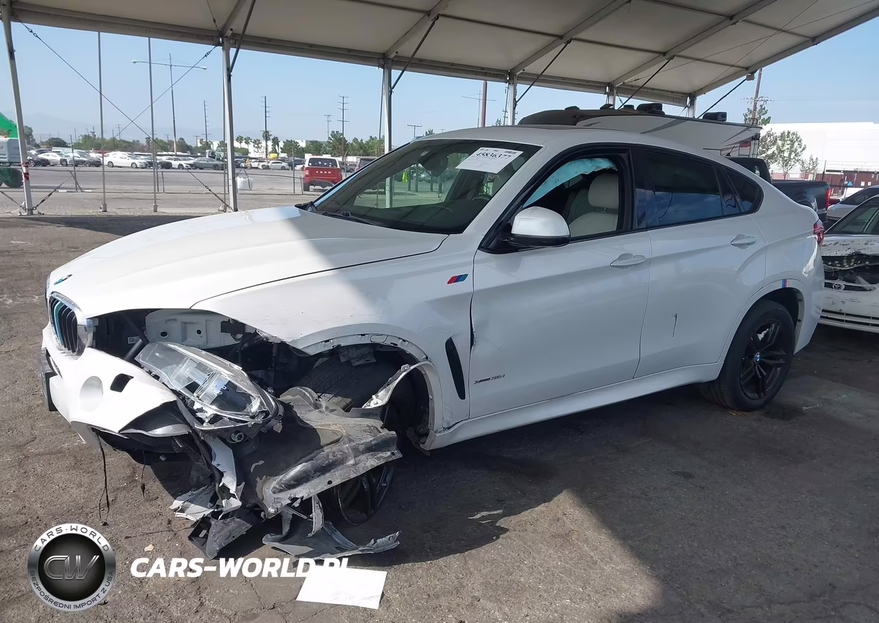 2015 BMW X6 xDrive35I VIN:5UXKU2C53F0F96098 - 14