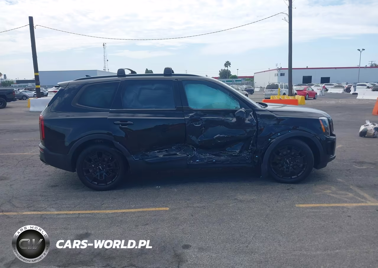 2022 Kia Telluride Ex VIN:5XYP3DHC0NG320643 - 13