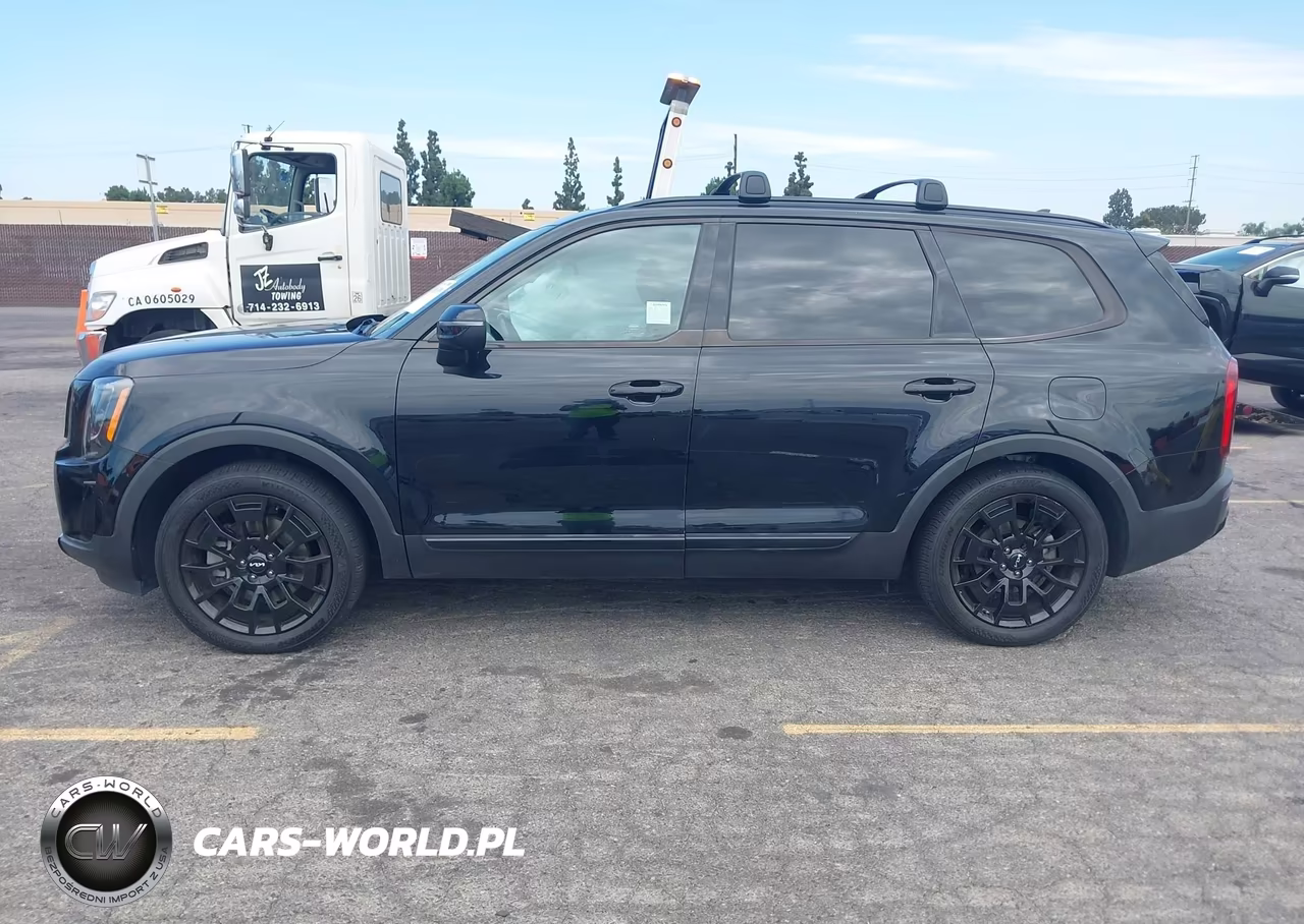 2022 Kia Telluride Ex VIN:5XYP3DHC0NG320643 - 14