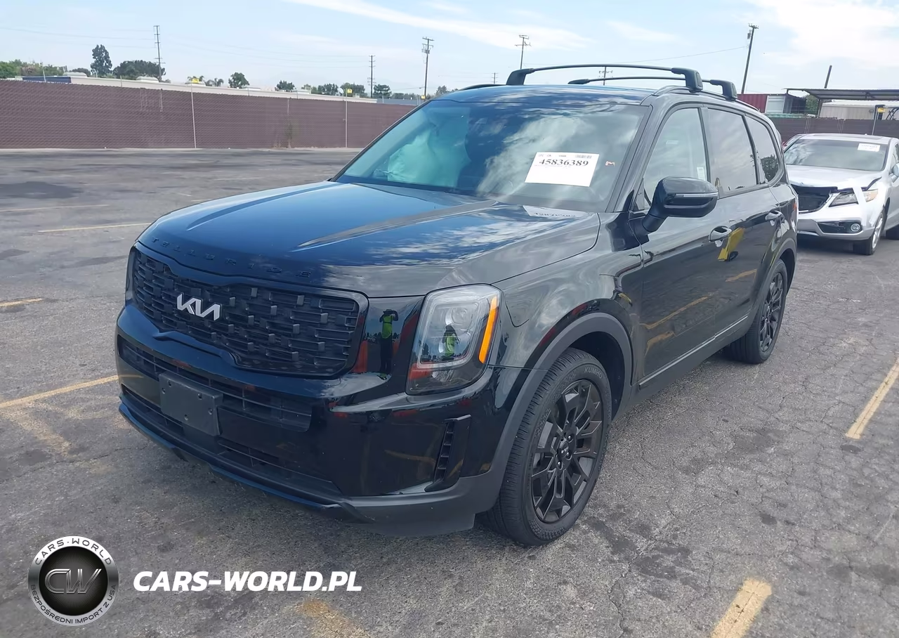 2022 Kia Telluride Ex VIN:5XYP3DHC0NG320643 - 2