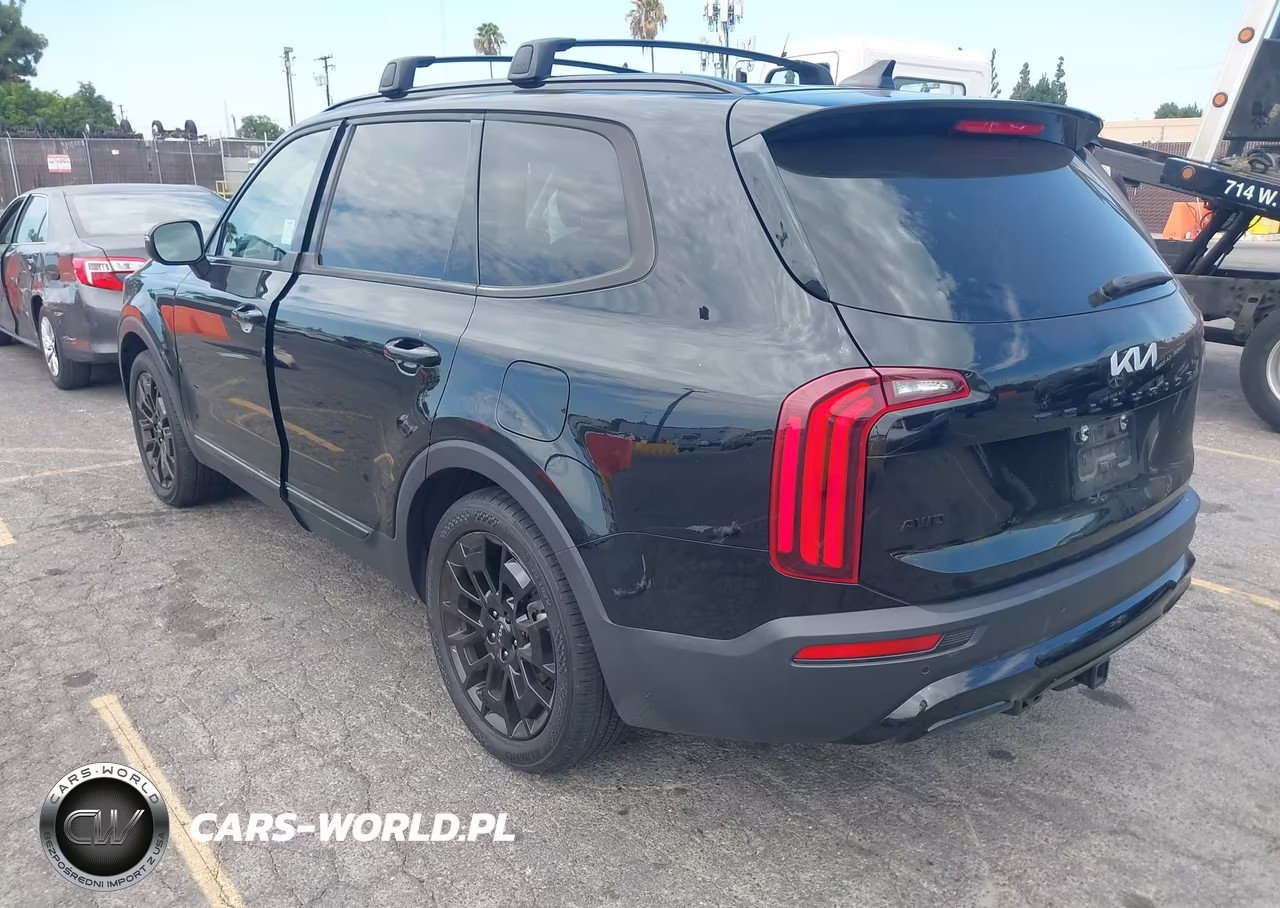 2022 Kia Telluride Ex VIN:5XYP3DHC0NG320643 - 3