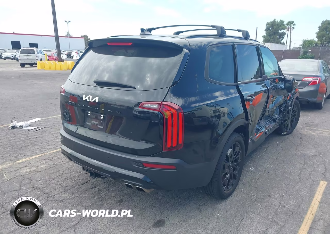 2022 Kia Telluride Ex VIN:5XYP3DHC0NG320643 - 4