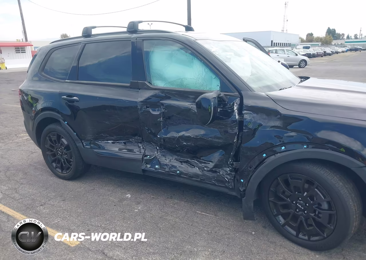 2022 Kia Telluride Ex VIN:5XYP3DHC0NG320643 - 6