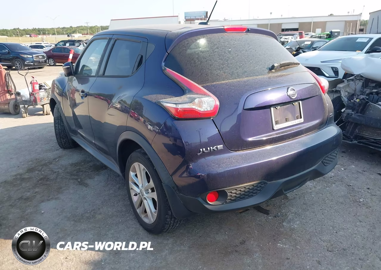 2016 Nissan Juke Nismo-S-Sl-Sv VIN:JN8AF5MR3GT608651 - 3