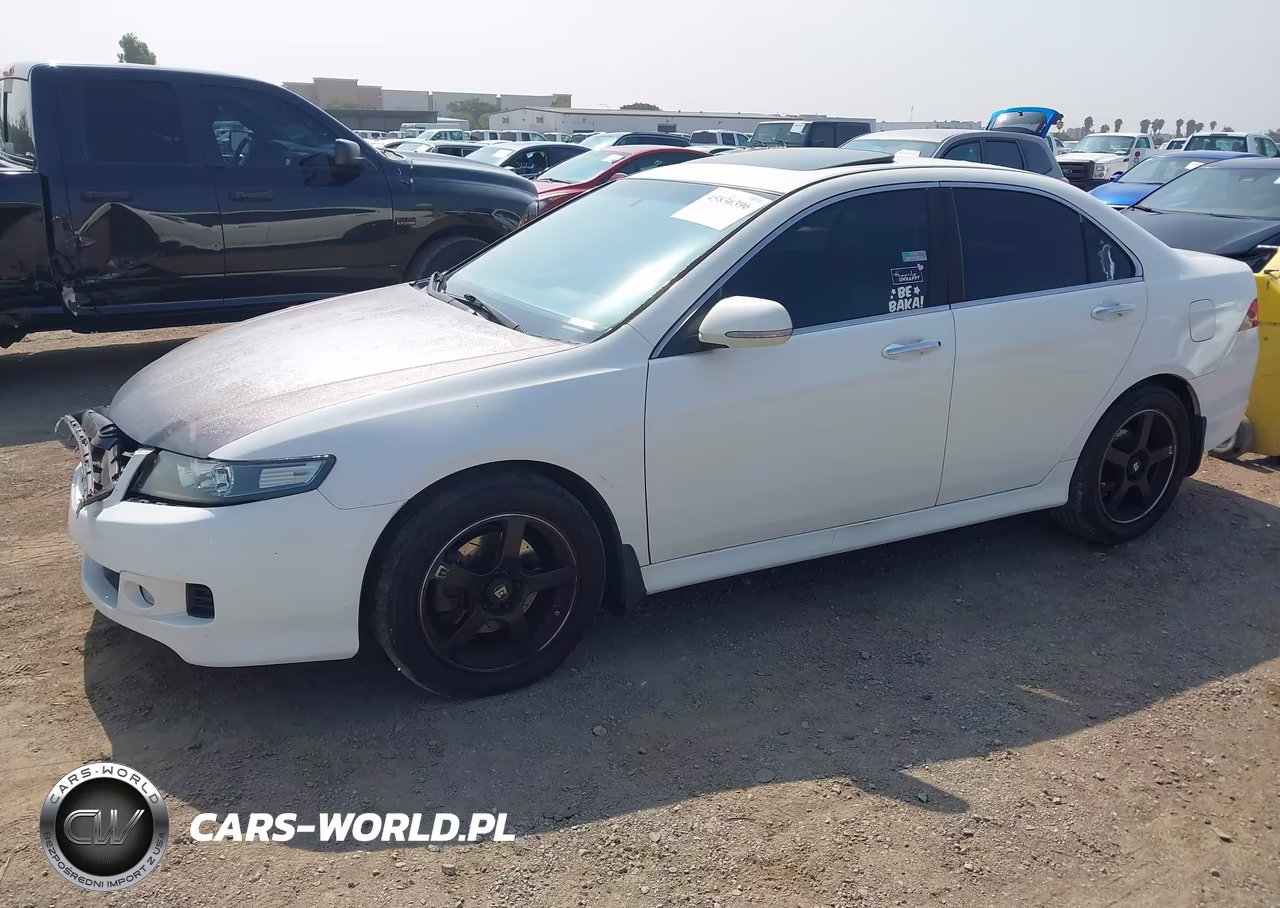 2006 Acura Tsx VIN:JH4CL96846C018173 - 2