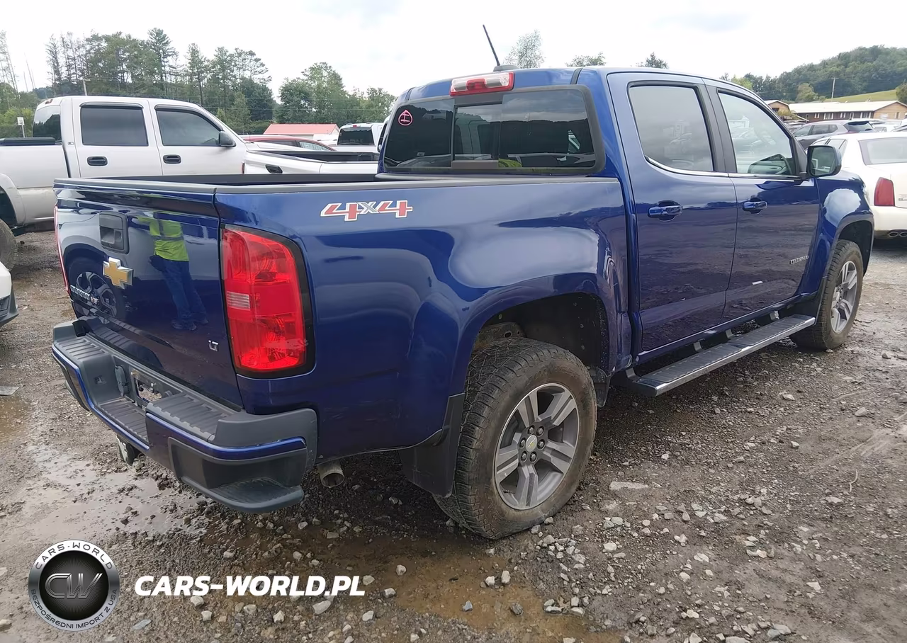 2017 Chevrolet Colorado 4Wd Lt VIN:1GCGTCEN6H1238890 - 4