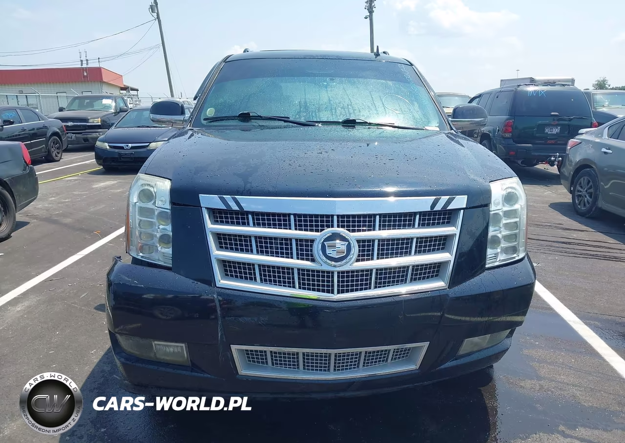 2009 Cadillac Escalade Esv Platinum Edition VIN:1GYFK36249R264887 - 12