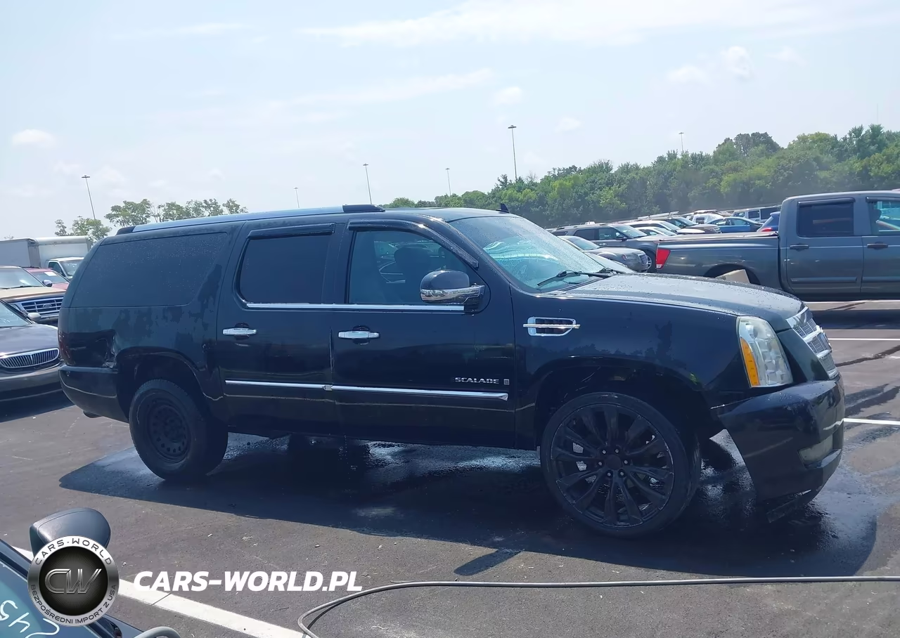 2009 Cadillac Escalade Esv Platinum Edition VIN:1GYFK36249R264887 - 13