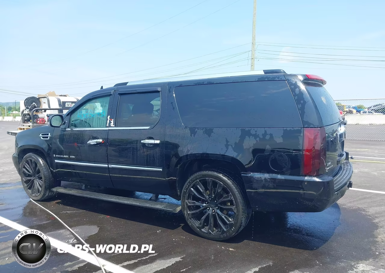 2009 Cadillac Escalade Esv Platinum Edition VIN:1GYFK36249R264887 - 14