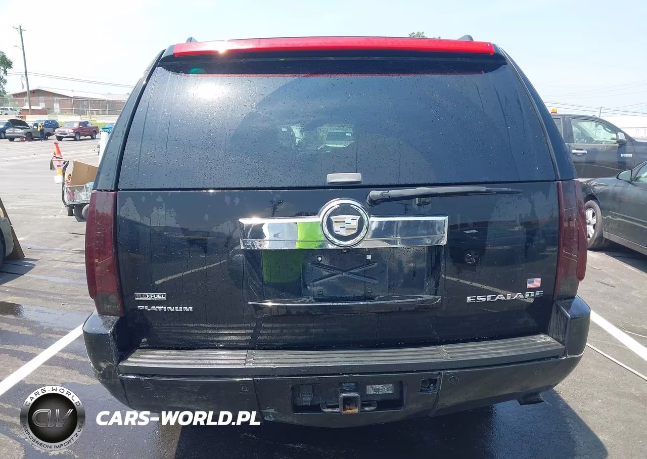 2009 Cadillac Escalade Esv Platinum Edition VIN:1GYFK36249R264887 - 16