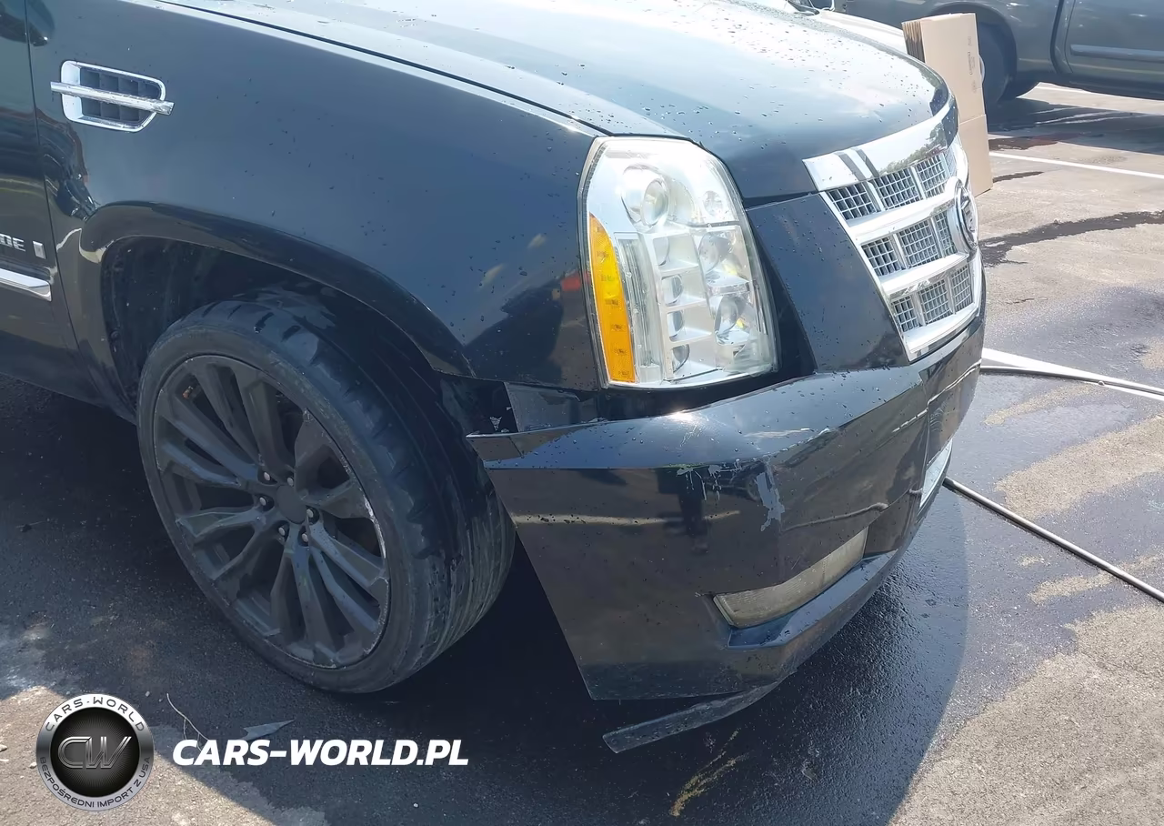 2009 Cadillac Escalade Esv Platinum Edition VIN:1GYFK36249R264887 - 17