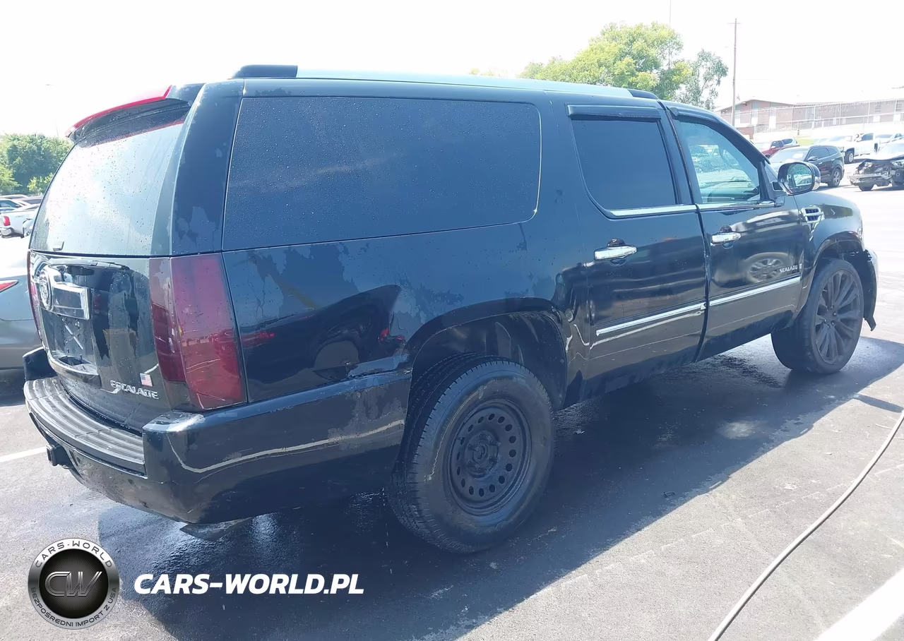 2009 Cadillac Escalade Esv Platinum Edition VIN:1GYFK36249R264887 - 4